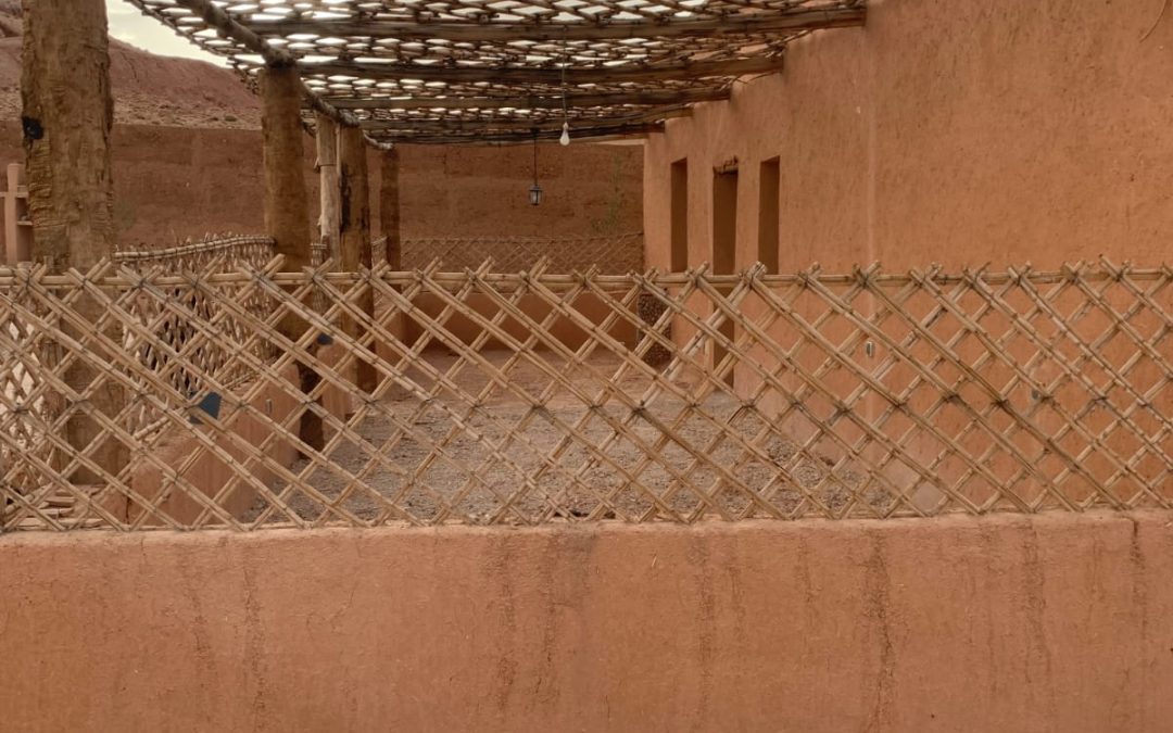 cour-maison Cour arriere de la maison